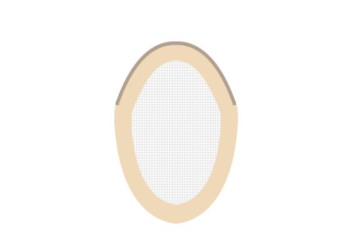 M1: Folded Lace Front Hair System with Fine Mono Top and NPU Perimeter