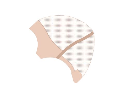 PB-202: Fine Monofilament Wig with Temple-to-Temple NPU Front, NPU Nape & Elastic Sides