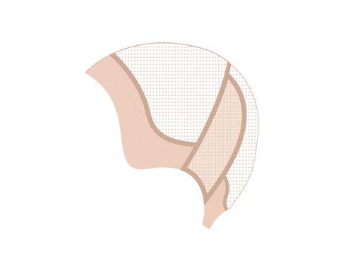 PB-203: Fine Mono Wig with Temple-to-Temple PU Front, PU Nape, and Elastic Mesh Back