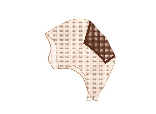 PB-208: Lace Wig with Stretch Mesh at Crown